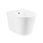 Биде подвесное BelBagno ПРИТЯЖЕНИЕ (FLAY-R) BB053BH