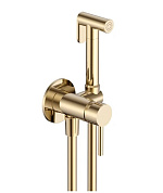 Смеситель с гигиеническим душем AQUAme Siena AQM6217BG