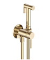 Смеситель с гигиеническим душем AQUAme Siena AQM6217BG