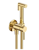 Смеситель с гигиеническим душем AQUAme Siena AQM6217GG