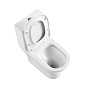 Унитаз-моноблок с сиденьем BelBagno УЮТ (LOUNGE) BB8618CPR-MN/SC
