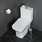 Унитаз-моноблок с сиденьем BelBagno НЕОН (NEON) BB8617CPR-MN/SC