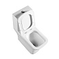 Унитаз-моноблок с сиденьем BelBagno НЕОН (NEON) BB8617CPR-MN/SC