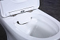 Унитаз-компакт безободковый с сиденьем  BelBagno ТУМАН (STEAM) BB130CPR/SC+BB130T