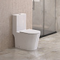 Унитаз-моноблок с сиденьем и смывом ТОРНАДО BelBagno КОНТУР (TRE-TOR) BB673CP-MN-TOR/SC
