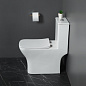 Унитаз-моноблок с сиденьем BelBagno НЕОН (NEON) BB8617CPR-MN/SC