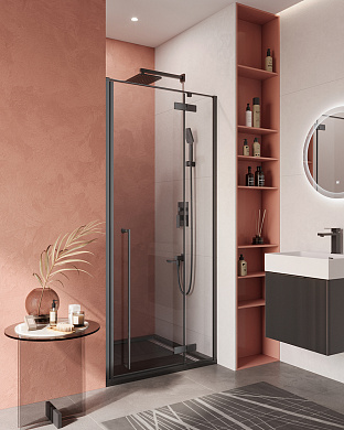 Душевая дверь в нишу CEZARES LINER-B-12-90-C-NERO-R