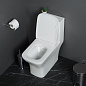 Унитаз-моноблок с сиденьем BelBagno НЕОН (NEON) BB8617CPR-MN/SC