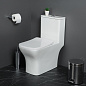 Унитаз-моноблок с сиденьем BelBagno НЕОН (NEON) BB8617CPR-MN/SC