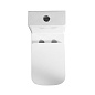 Унитаз-моноблок с сиденьем BelBagno НЕОН (NEON) BB8617CPR-MN/SC