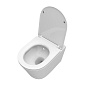 Унитаз подвесной безободковый с сиденьем и смывом ТОРНАДО BelBagno КОНТУР (TRE-TOR) BB5180CH-TOR/SC