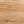 Rovere Nebrasca Nature
